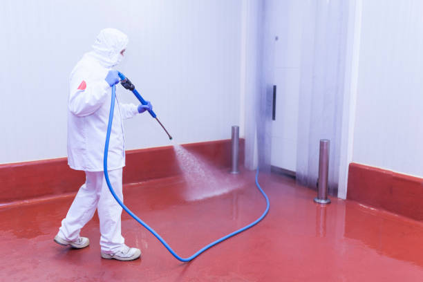 Best Spring Cleaning  in Ponca City, OK